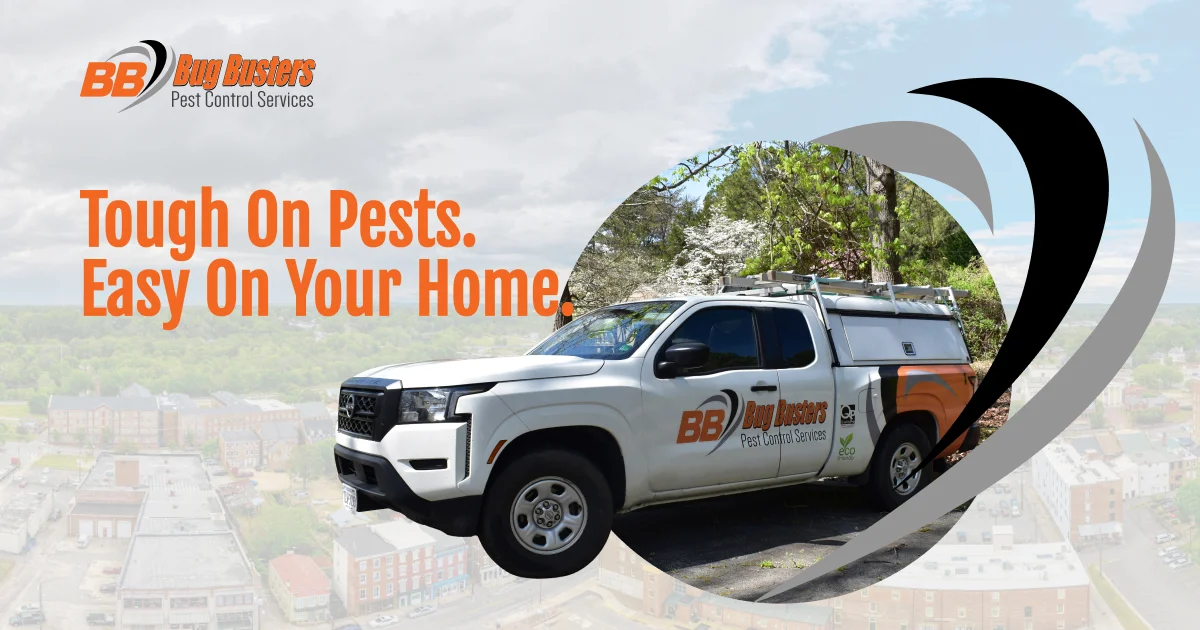 Residential & Commercial Pest Control in Colonial Heights | Bug Busters ...