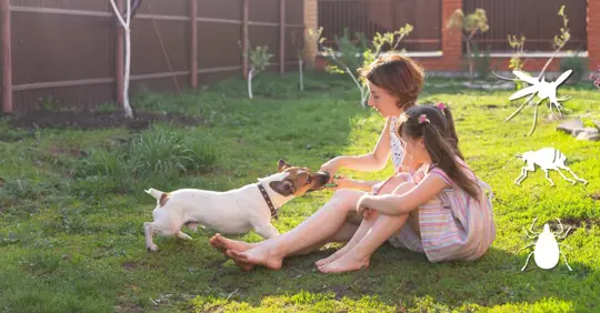 Little Girl with Her Mother and Jack Russell Terrier Dog on the Yard Sitting on the Grass